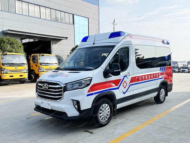 Datong V90 Überwachungstyp